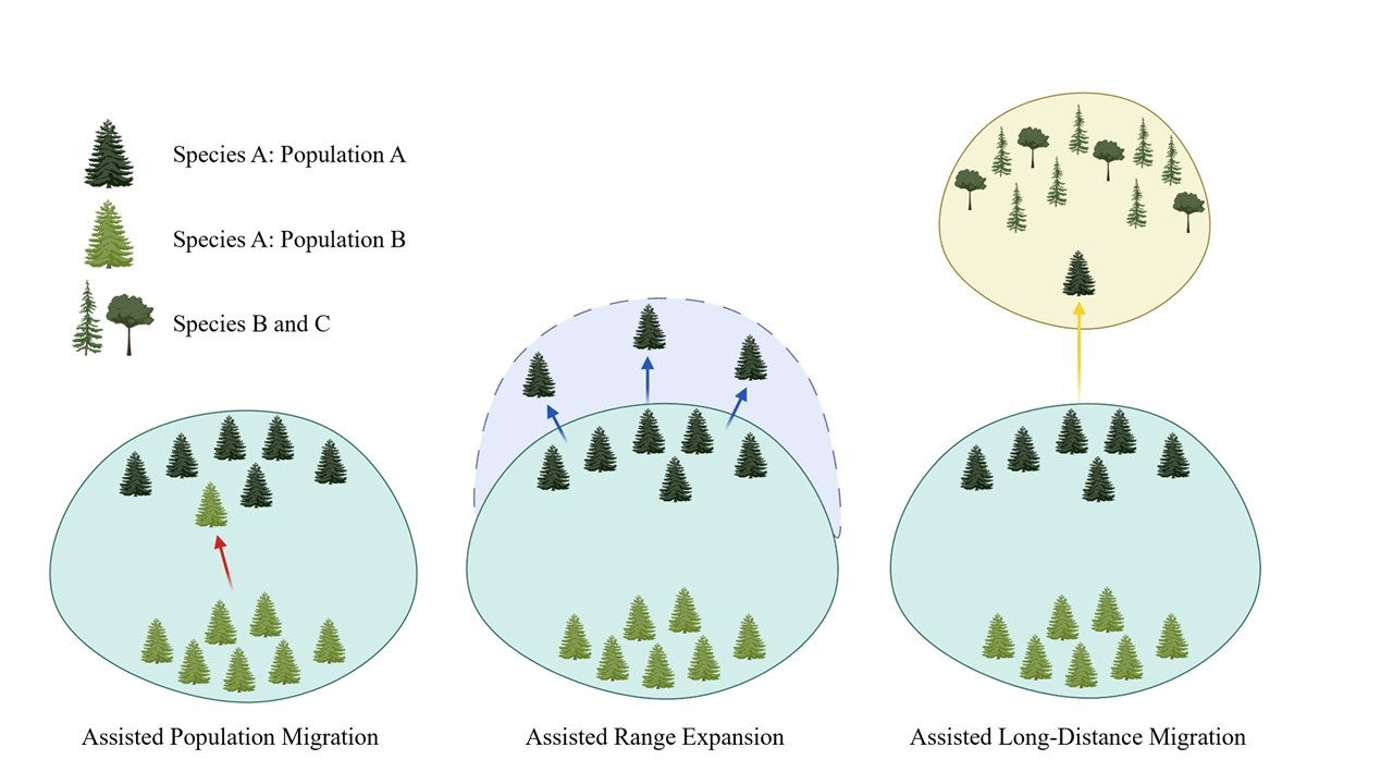 Assisted-Migration-Figure